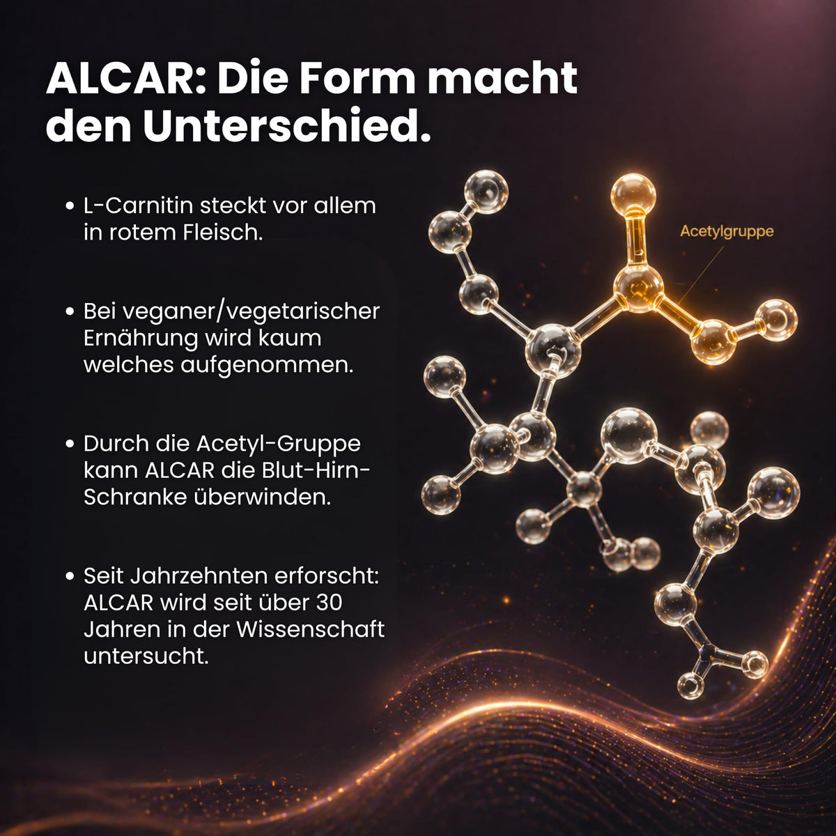 Supplenatura® Acetyl L Carnitine Capsules, Alcar, Neuroline | Laboratory tested quality, German manufacturing, clean label formula, long-term stock