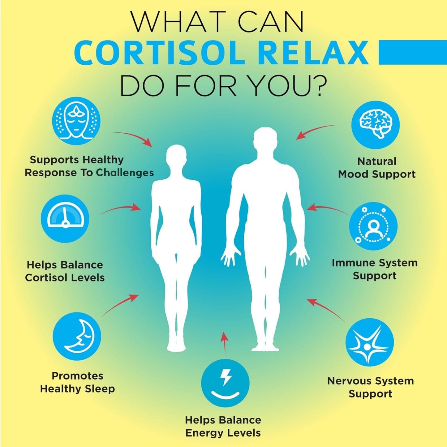 OmniBiotics Cortisol Supplement for Women and Men - High Cortisol Manager with Ashwagandha, L-Theanine, Magnolia Extract, Phosphatidylserine to Support Relaxation, Calm, Detox - 60 Vegan Capsules - Maple Wellness Supplements