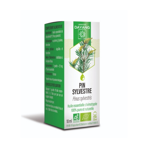 Buy Organic Scotch Pine Essential Oil 10ml- DAYANG - OmniHealthRx Usa supplements