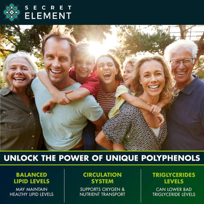 (2 PACK) Citrus Bergamot Extract 1000mg - Citrus Bergamot Supplement for Circulatory Health, Immunity, and Graceful Aging - 2x the potency of Citrus Bergamot 500mg - Maple Wellness Supplements