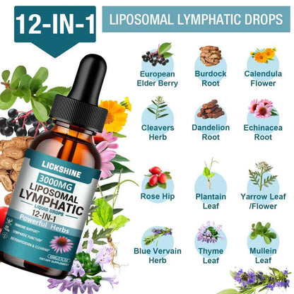2 Packs 3000MG Liposomal Lymphatic Drainage Drops, 12 in 1 Organic Lymphatic Drainage Supplements with ElderBerry, Burdock Root, Cleavers Herb & Echinacea, Lymphatic Cleanse Immune Support, 4 Fl oz - Maple Wellness Supplements