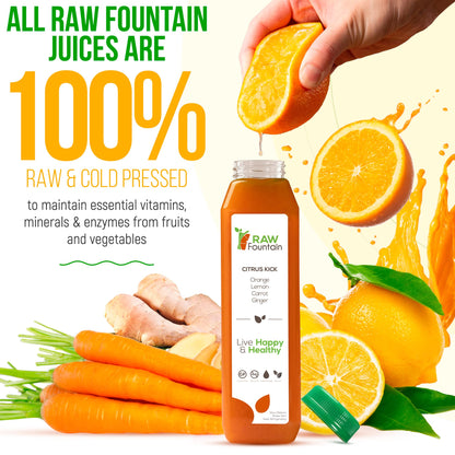 3 Day Juice Cleanse by Raw Fountain, All Natural Raw Detox Cleanse, Liquid Juice Diet - Maple Wellness Supplements