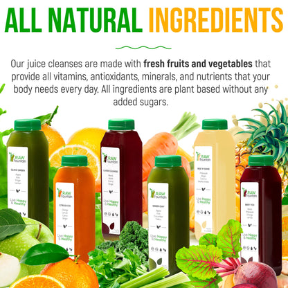 3 Day Juice Cleanse by Raw Fountain, All Natural Raw Detox Cleanse, Liquid Juice Diet - Maple Wellness Supplements