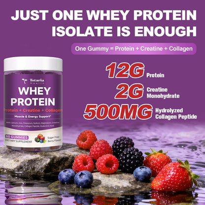 3 in 1 Whey Protein Gummies | Creatine Monohydrate | Collagen, 0 Sugar, Pure Protein Source, Muscle & Energy Support, Berry Flavor, for Women and Men - Maple Wellness Supplements
