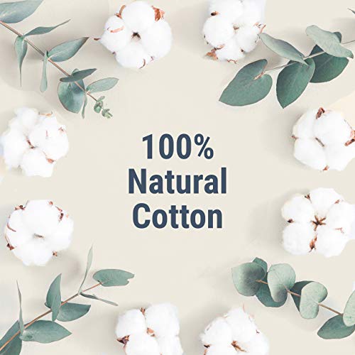 Veeda 100% Natural Cotton Applicator Free Tampons, 16 Count Super Absorbency unscented VeedaBuy Supplements Australia
