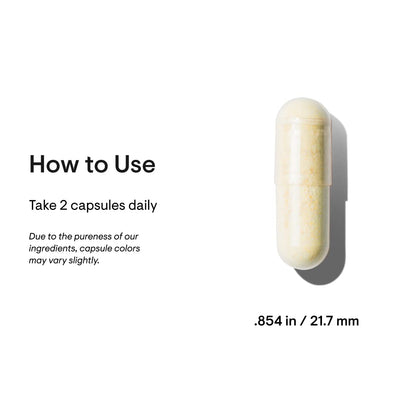 THORNE Basic Nutrients 2/Day - Comprehensive Daily Multivitamin with Optimal Bioavailab THORNEBuy Supplements Australia