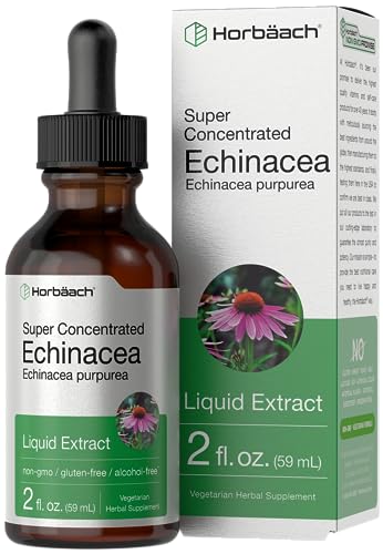 Echinacea Drops Liquid Extract | 2 fl oz | Super Concentrated Tincture | Alcohol Free