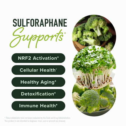 50MG Sulforaphane Supplement from Broccoli Sprouts | NRF2 Activation, Cellular Health & Immune Support | Glucoraphanin, Myrosinase & Antioxidants | Third-Party Tested - Maple Wellness Supplements