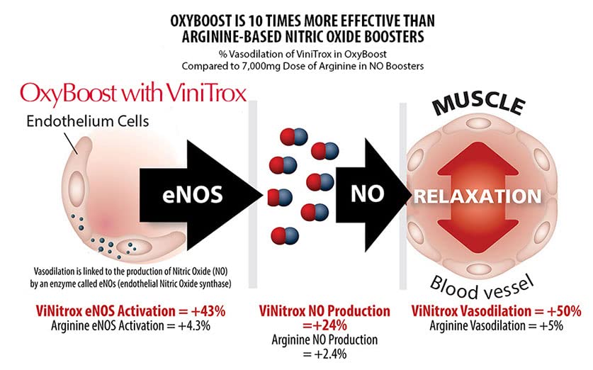 OxyBoost - Nitric Oxide Supplement (1 Bottle - 30 Servings)