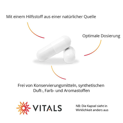 Vitals - L-Tryptophan 400mg 60 Capsules Essential Amino Acid in a Vegetable Capsule
