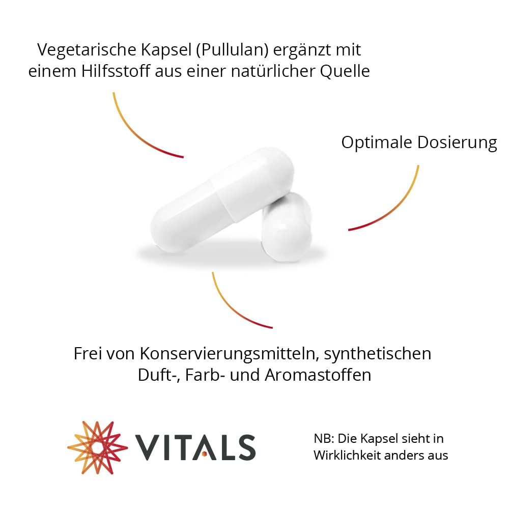 Vitals - Acetyl-L-Carnitine 500mg 60 Capsules, Acetylated Form of L-Carnitine. 100% Vegan. In a vegetable capsule, supplemented with an excipient from a natural source.