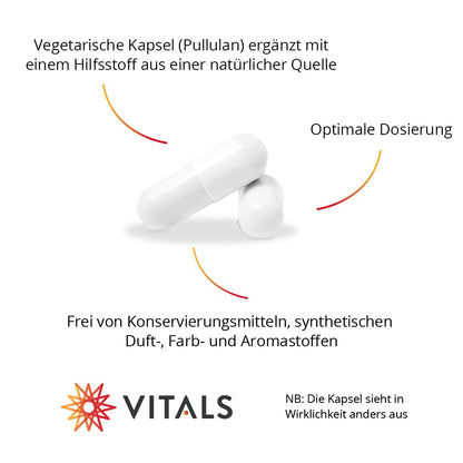 Vitals - Acetyl-L-Carnitine 500mg 60 Capsules, Acetylated Form of L-Carnitine. 100% Vegan. In a vegetable capsule, supplemented with an excipient from a natural source.