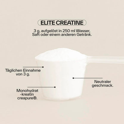 NDL Pro-Health Creatine Monohydrate Creapure® Powder | 100 Servings - 3 g | 100% reines Kreatin ohne Zusatzstoffe, für Kraft, Leistung & Muskelaufbau, geschmacksneutral
