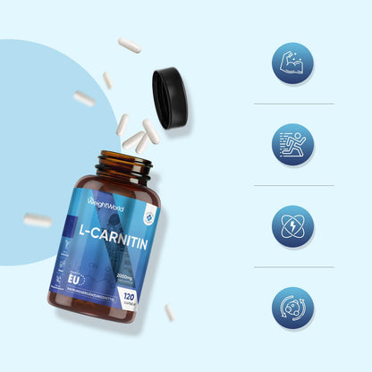 WeightWorld L Carnitine, 2000 mg per serving, 120 vegan capsules | L-Carnitine amino acid capsules, free from magnesium stearate, lactose and gluten free, 3 capsules daily