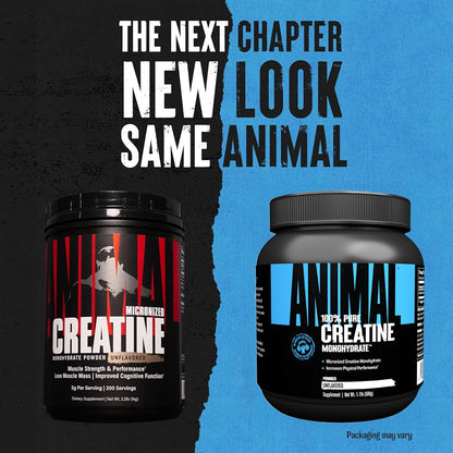 ANIMAL Pure Creatine Monohydrate Powder, 500 g | Pure micronised creatine monohydrate, 5 g creatine per serving, easily absorbable, neutral in taste