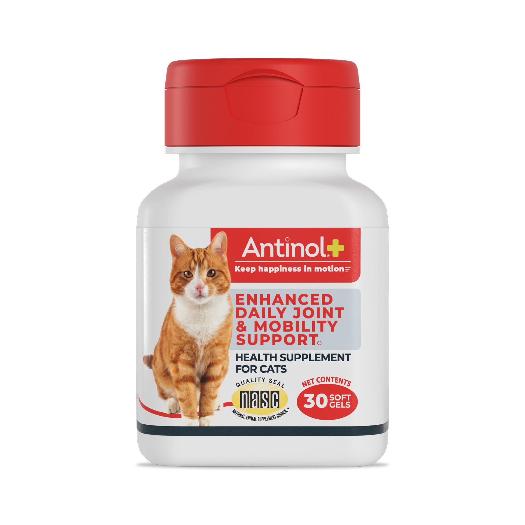 Antinol Plus, Mobility, Hip, and Joint Supplement for Cats, Green-Lipped Mussels and Krill Oil - Cat Joint Supplement, 30 Soft Gels AntinolBuy Supplements Australia