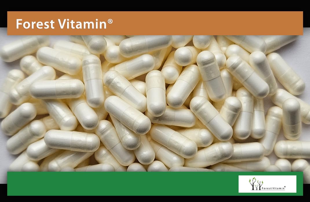 L-Theanine 200 mg - 100 Capsules - L Theanine 99% - High Dose of Green Tea (Camellia Sinensis) - Pure Theanine Amino Acid Supplement - Vegan - No Additives - Forest Vitamin