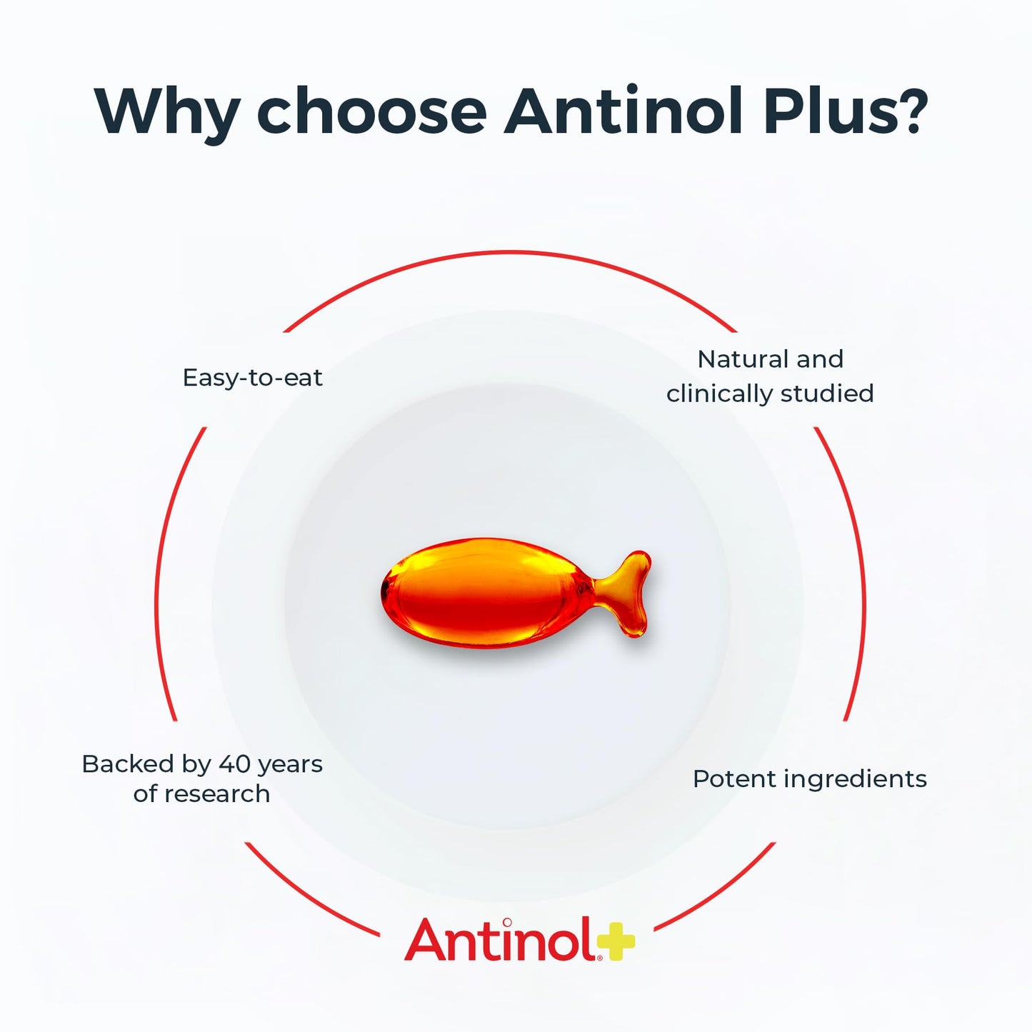 Antinol Plus, Mobility, Hip, and Joint Supplement for Cats, Green-Lipped Mussels and Krill Oil - Cat Joint Supplement, 30 Soft Gels AntinolBuy Supplements Australia