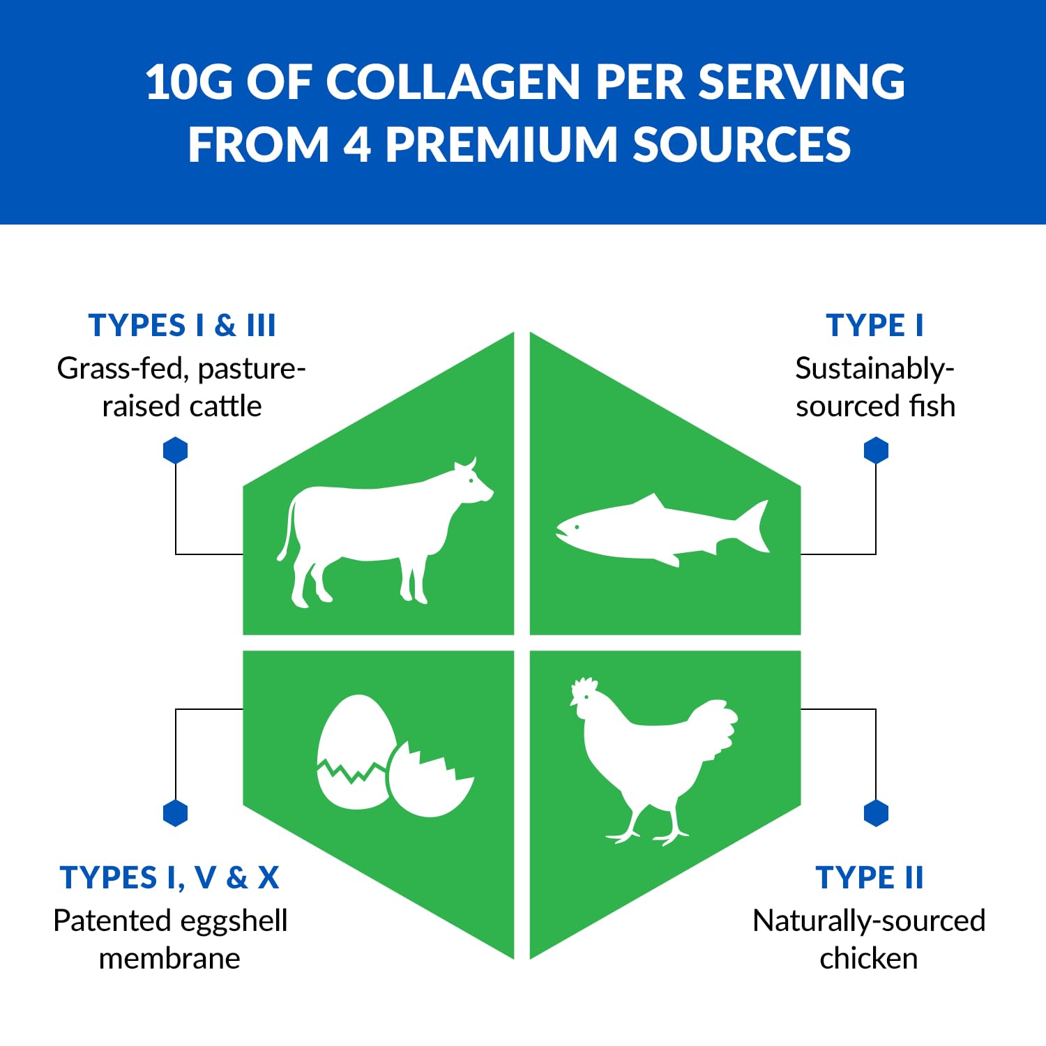 BioTrust Ageless Multi Collagen Peptides Powder – 5 Types (I, II, III, V, X) – Hydrolyzed BioTrustBuy Supplements Australia