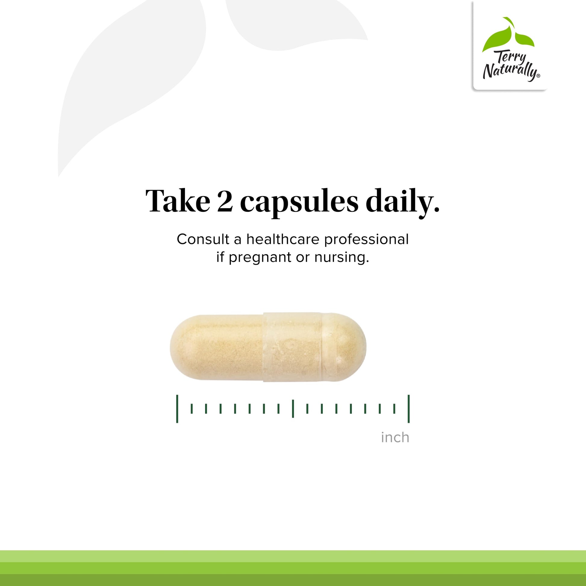 Terry Naturally Healthy Cholesterol with Amla - Antioxidant Supplement for Immune & Heart Support - Supplement to Aid Healthy Cholesterol & Triglyceride - 60 Capsules Terry NaturallyBuy Supplements Australia