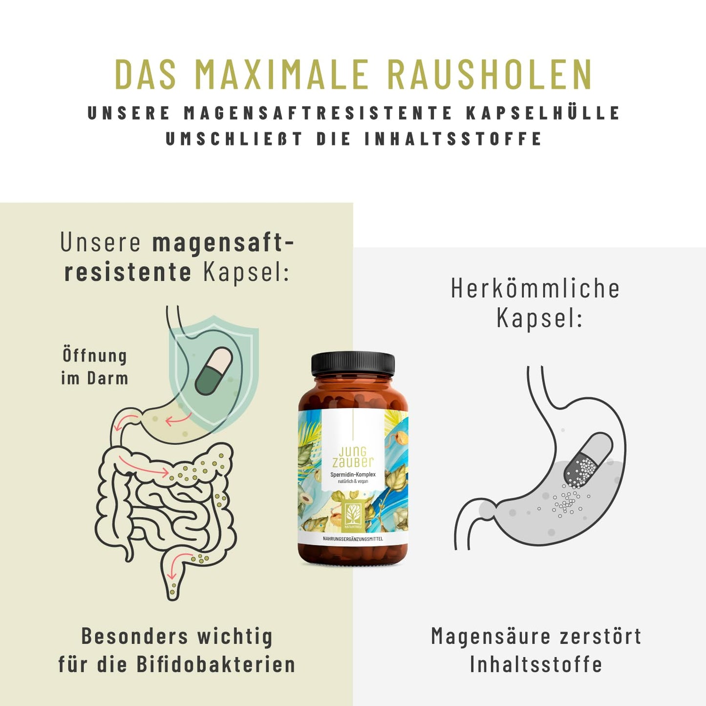 NATURTREU idine Capsules High Dose with High-Quality idine, L-Arginine, Bifidobacteria & Vitamin B6 - Vegan - 120 Enteric Juice-Resistant Capsules - Produced in Germany & Laboratory Tested