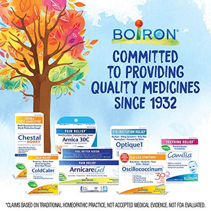Boiron Bryonia 6X Homeopathic Medicine for Muscle & Joint Pain - 80 Pellets BoironBuy Supplements Australia