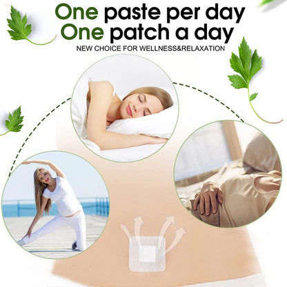 Bubchen Mugwort Belly Patch,30Pcs Natural Wormwood Essence and 30Pcs Belly Sticker BURWSEKKBuy Supplements Australia