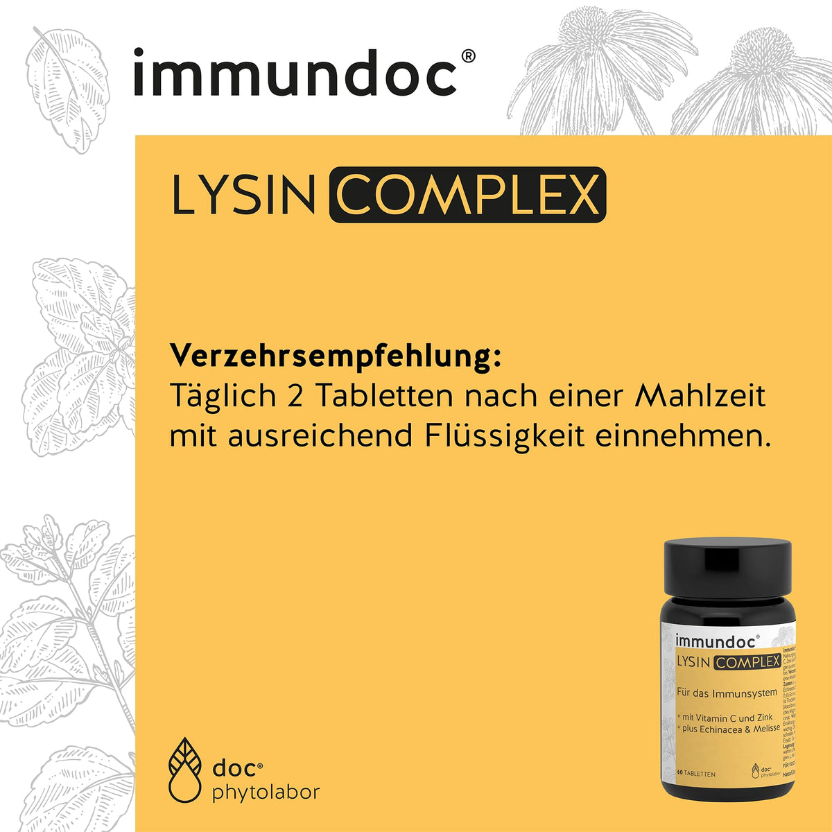 immundoc LYSIN COMPLEX, L-Lysine Tablets, Pack of 60, with 1000 mg L-Lysine per Daily Dose, with Vitamin C, Zinc and Plant Extracts, Gluten-Free and Lactose Free