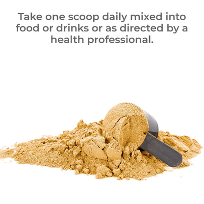Premier Research Labs Premier Fermented Mushroom Blend - Reishi Mushroom Powder, Mushroom Extract for Drinks, Coffee, Mushroom Complex with Turkey Tail, Cordyceps for Immune & Gut Health - 7.4 oz Premier Research LabsBuy Supplements Australia
