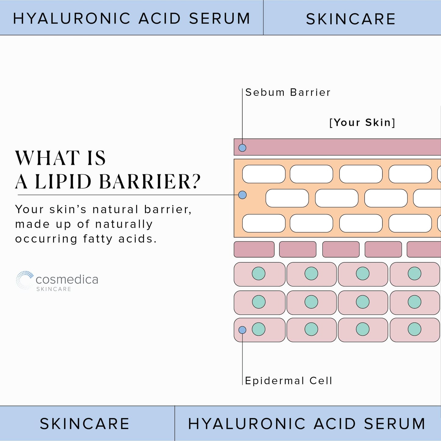 Hyaluronic Acid Serum for Skin 100% Pure Anti Aging Serum Intense Hydration Cosmedica SkincareBuy Supplements Australia