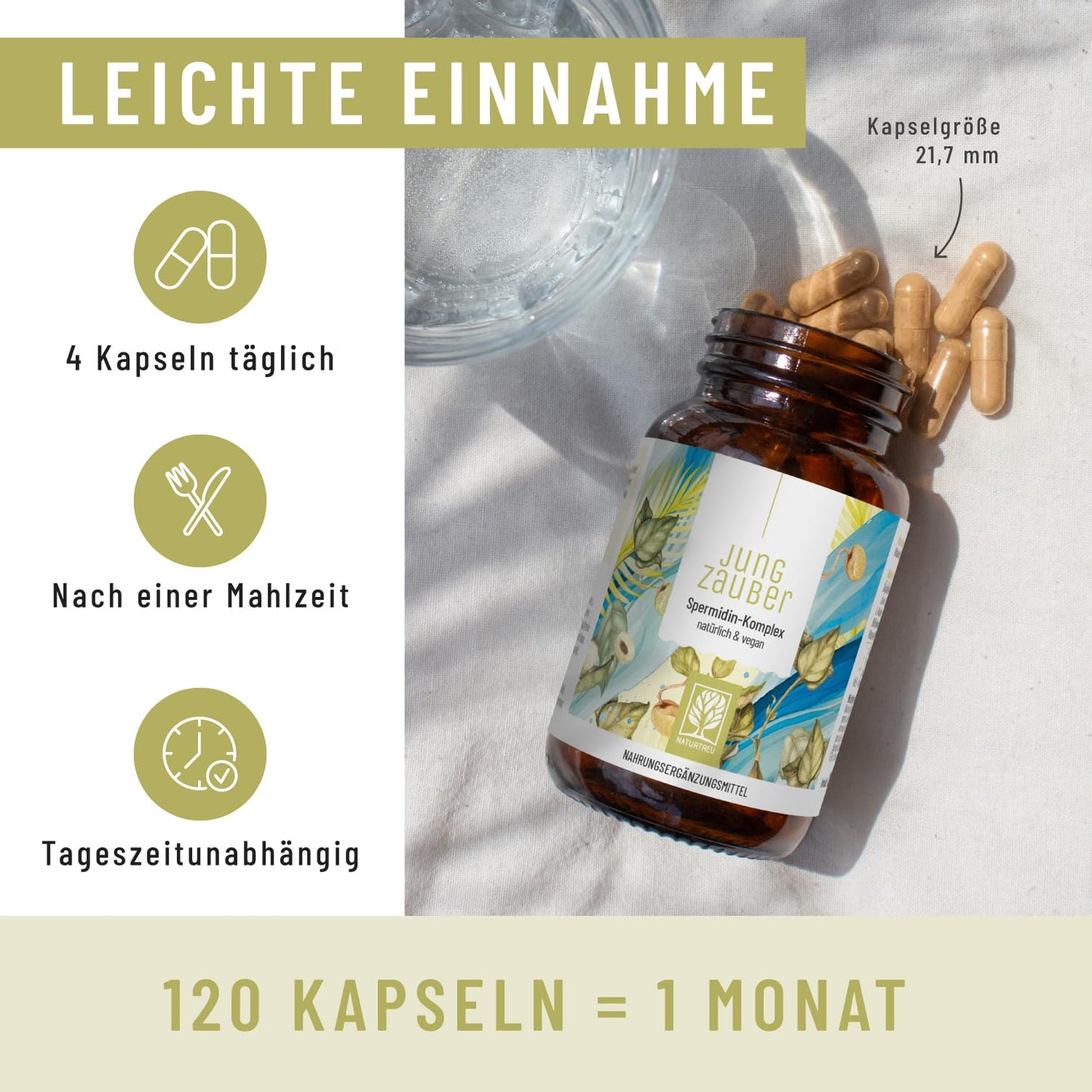 NATURTREU idine Capsules High Dose with High-Quality idine, L-Arginine, Bifidobacteria & Vitamin B6 - Vegan - 120 Enteric Juice-Resistant Capsules - Produced in Germany & Laboratory Tested