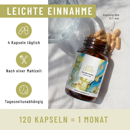 NATURTREU idine Capsules High Dose with High-Quality idine, L-Arginine, Bifidobacteria & Vitamin B6 - Vegan - 120 Enteric Juice-Resistant Capsules - Produced in Germany & Laboratory Tested