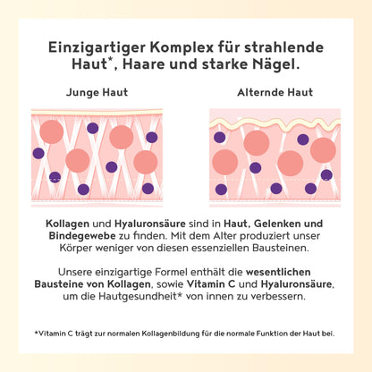 Vegan Collagen Powder + Hyaluronic Acid [400g] Vegetable Alternative to Collagen Hydrolysate, with 13 Amino Acids and Vitamin C from Camu, Tasteless, Made in Germany Alpha Foods