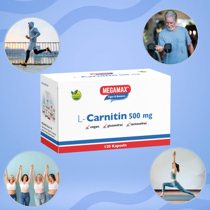 Mega Max Figure & Balance L-Carnitine 500 mg Capsules, Pack of 120 Capsules
