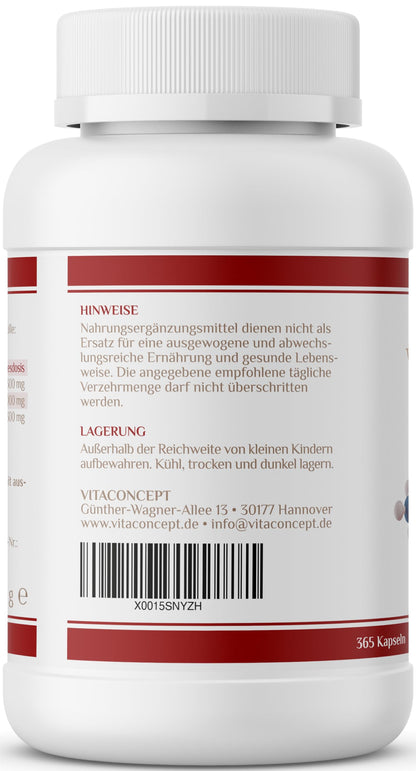 Vitaconcept I L-Arginine I 365 Capsules I High Dose I 1000 mg per Capsule I 98.7% Pure L-Arginine I Vegan