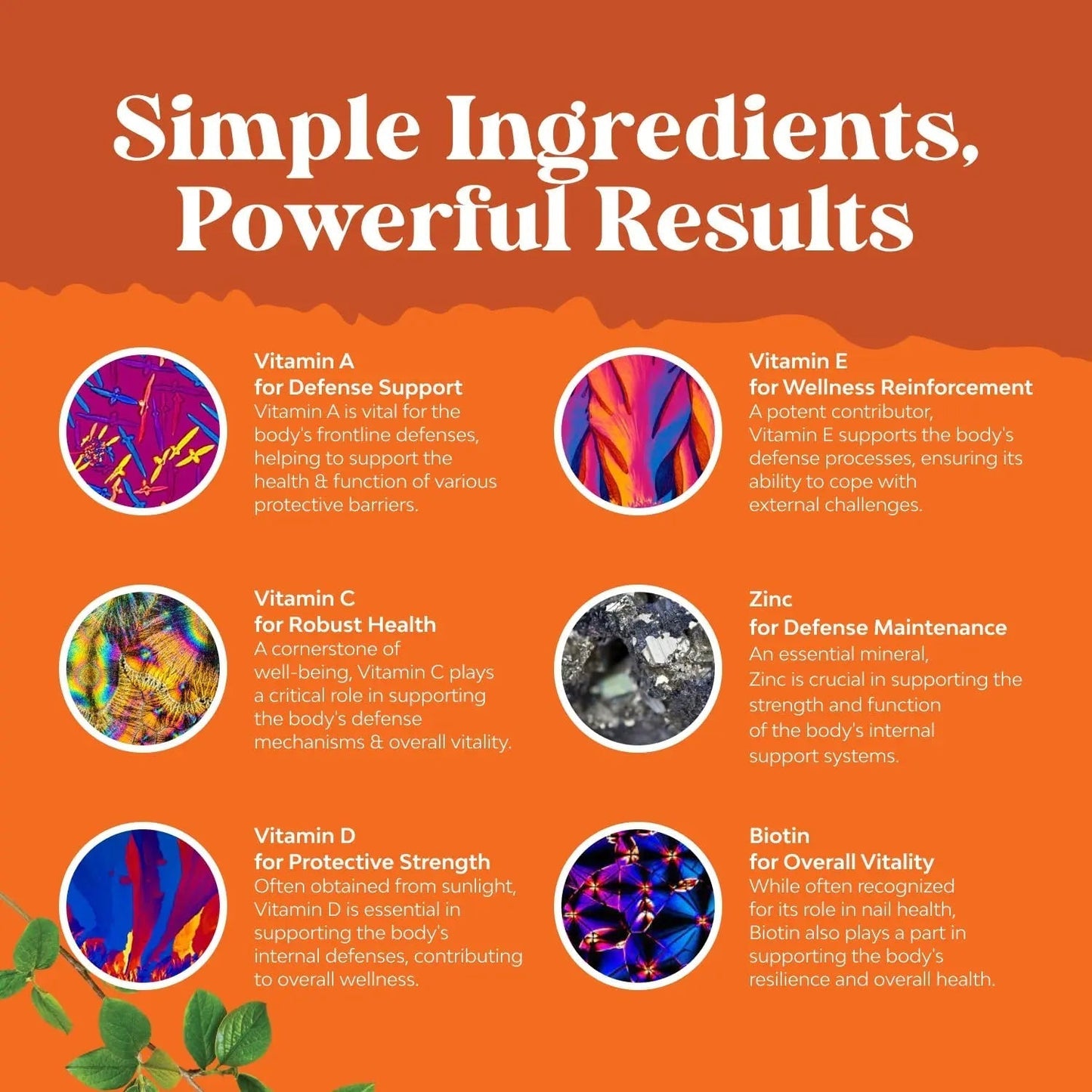 Bundle of Potent Daily Multivitamin Gummies - Wellness Blend of Vitamin D A C E B12 Zinc & Biotin for Energy & Immunity and Vitamin D3 Gummies Natures CraftBuy Supplements Australia