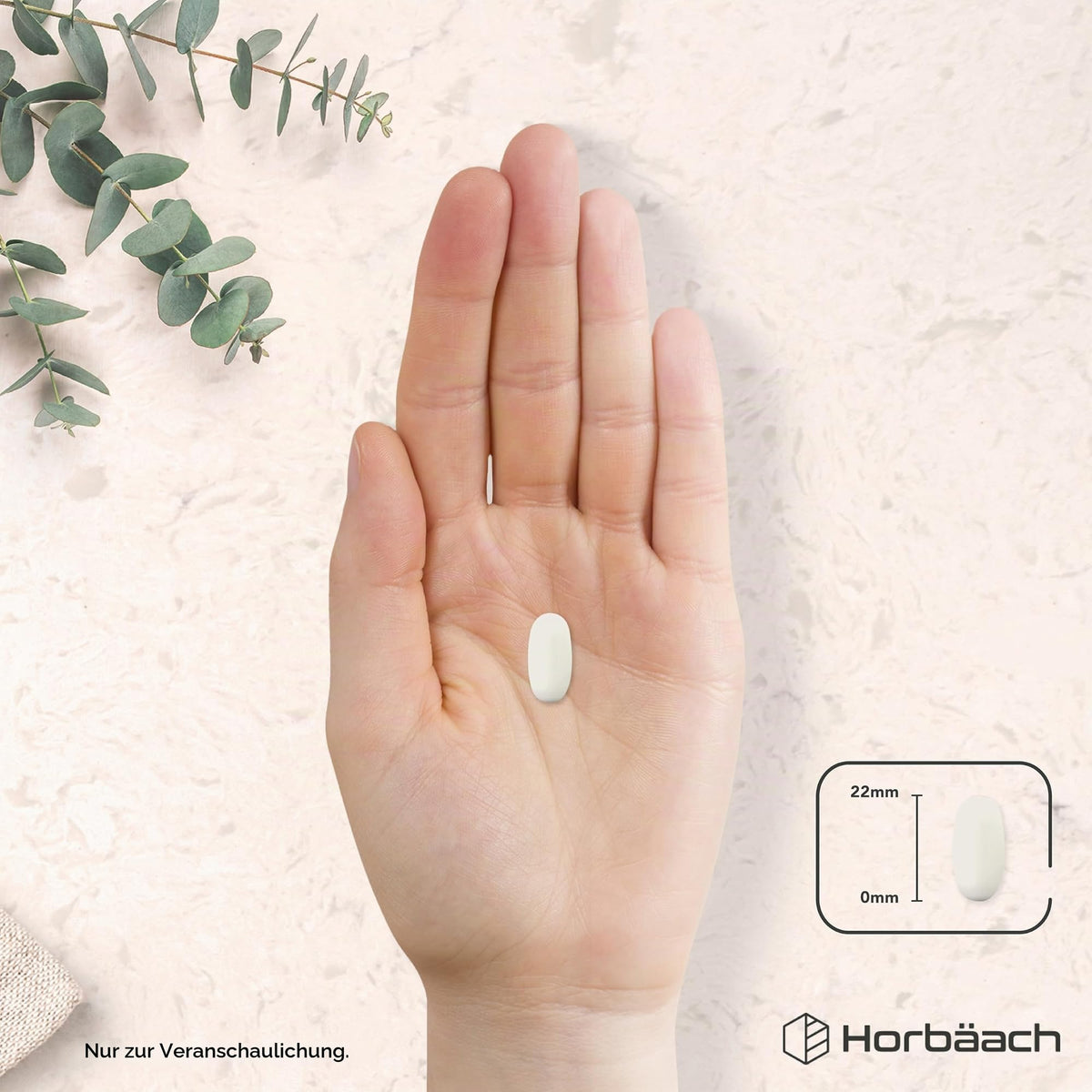 Horbaach L-Lysine High Dose Tablets 1475 mg | Pack of 120 Vegan | Pure L Lysine from L-Lysine HCl | From Vegetable Fermentation | Lysine Essential Amino Acids | by Horbaach