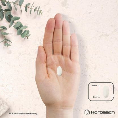 Horbaach L-Lysine High Dose Tablets 1475 mg | Pack of 120 Vegan | Pure L Lysine from L-Lysine HCl | From Vegetable Fermentation | Lysine Essential Amino Acids | by Horbaach