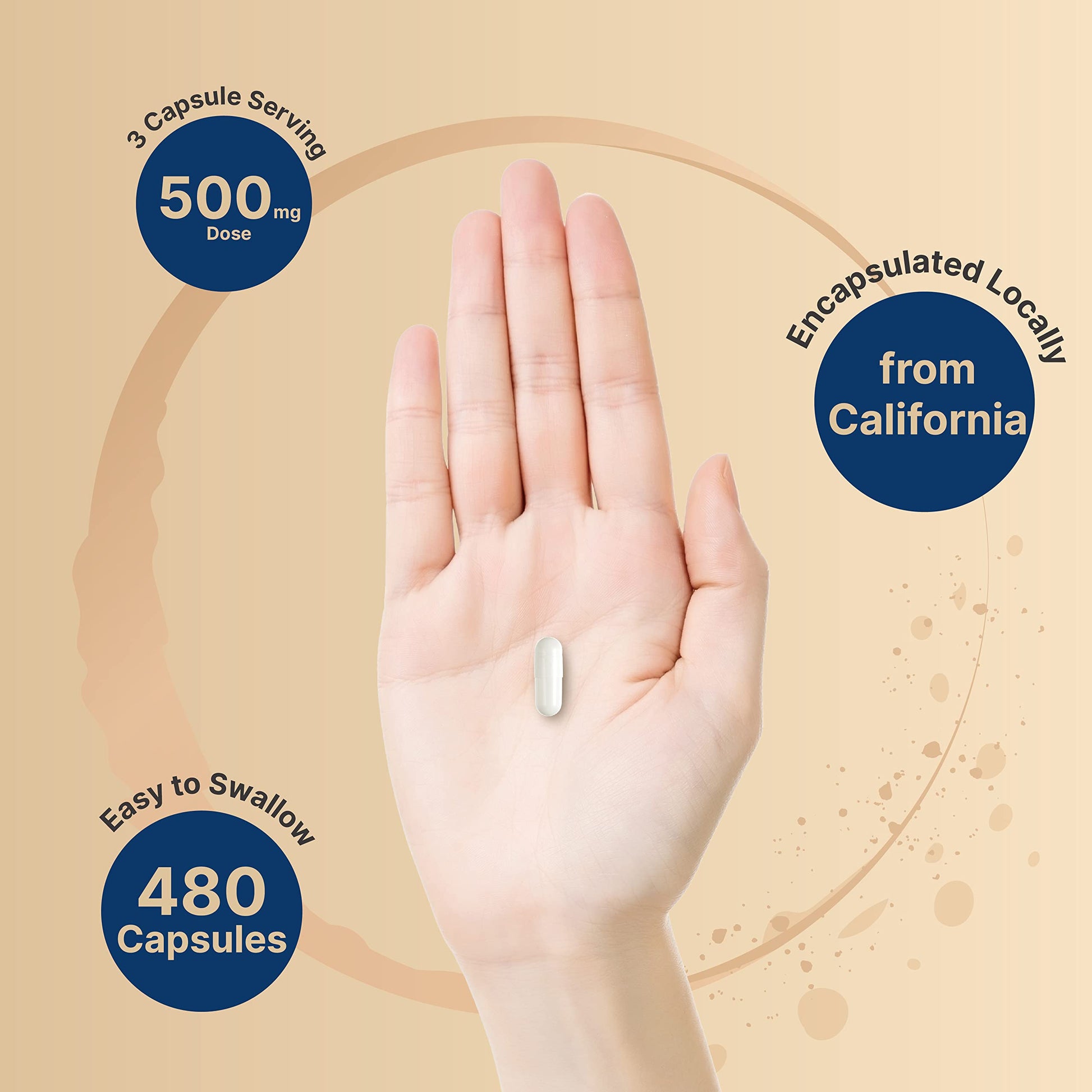 2 Pack Magnesium Citrate 500mg, 480 Capsules | High Purity Elemental Form NatureBellBuy Supplements Australia
