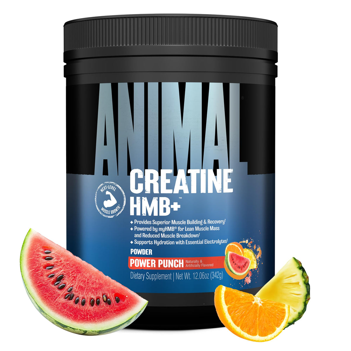 ANIMAL Creatine HMB+ - Creatine Monohydrate Powder with HMB & Electrolytes - Supports Muscle Growth, Regeneration & Endurance - with Power Punch, 30 Servings