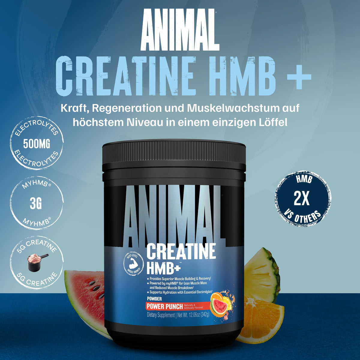 ANIMAL Creatine HMB+ - Creatine Monohydrate Powder with HMB & Electrolytes - Supports Muscle Growth, Regeneration & Endurance - with Power Punch, 30 Servings
