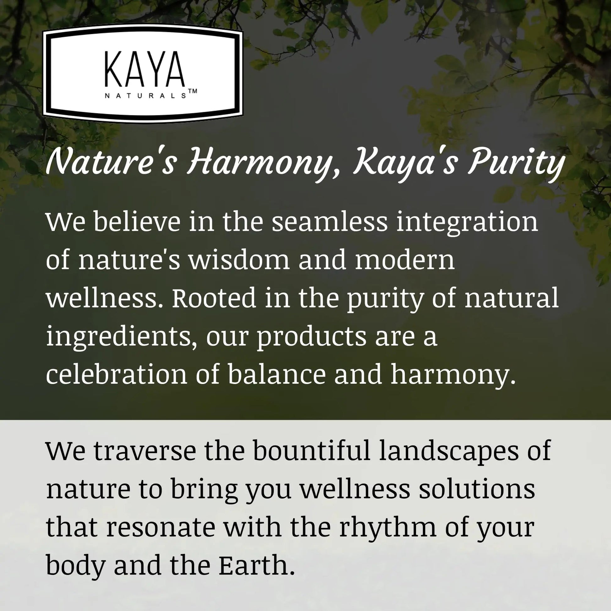 Kaya Naturals Moringa Leaf Extract - Complete Greens Superfood Supplement - Pure Miracle Tree Moringa - Boost Energy Naturally Kaya NaturalsBuy Supplements Australia