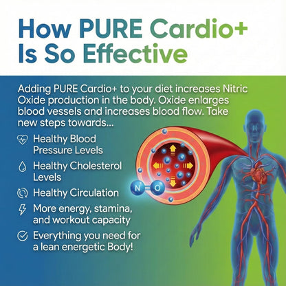 PURE® Cardio+ Nitric Oxide Heart & Circulation Support - 5000mg L-Arginine & 1000mg L-Citrulline - Lemon Lime, 30 Servings Powder, 375 Grams - CoQ10 Beet Root - High Potency Cardiovascular Formula PUREBuy Supplements Australia