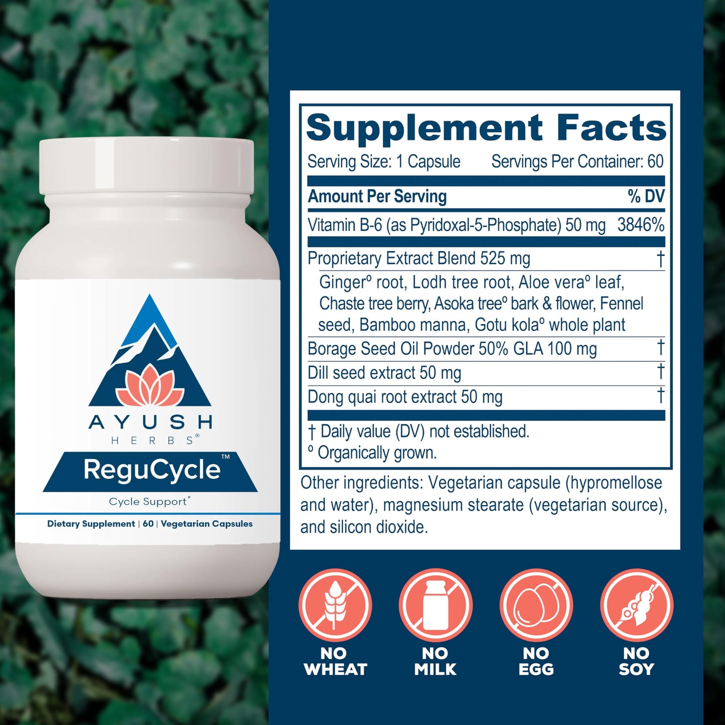 Ayush Herbs Regu-Cycle - Hormone Balance for Women, Hormonal Support, Period Support & Relief, Reproductive Health, Regulate Menstrual Cycle, Ovarian Support Supplement - 60 Vegetarian Capsules Ayush HerbsBuy Supplements Australia