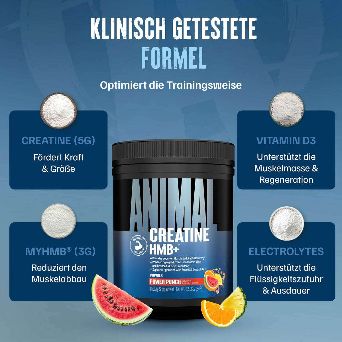 ANIMAL Creatine HMB+ - Creatine Monohydrate Powder with HMB & Electrolytes - Supports Muscle Growth, Regeneration & Endurance - with Power Punch, 30 Servings