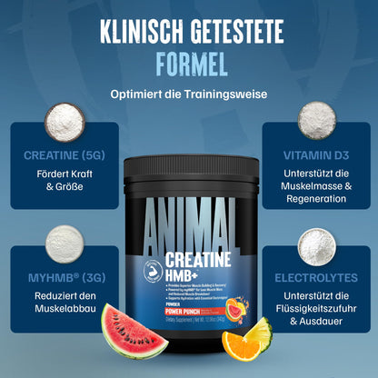 ANIMAL Creatine HMB+ - Creatine Monohydrate Powder with HMB & Electrolytes - Supports Muscle Growth, Regeneration & Endurance - with Power Punch, 30 Servings