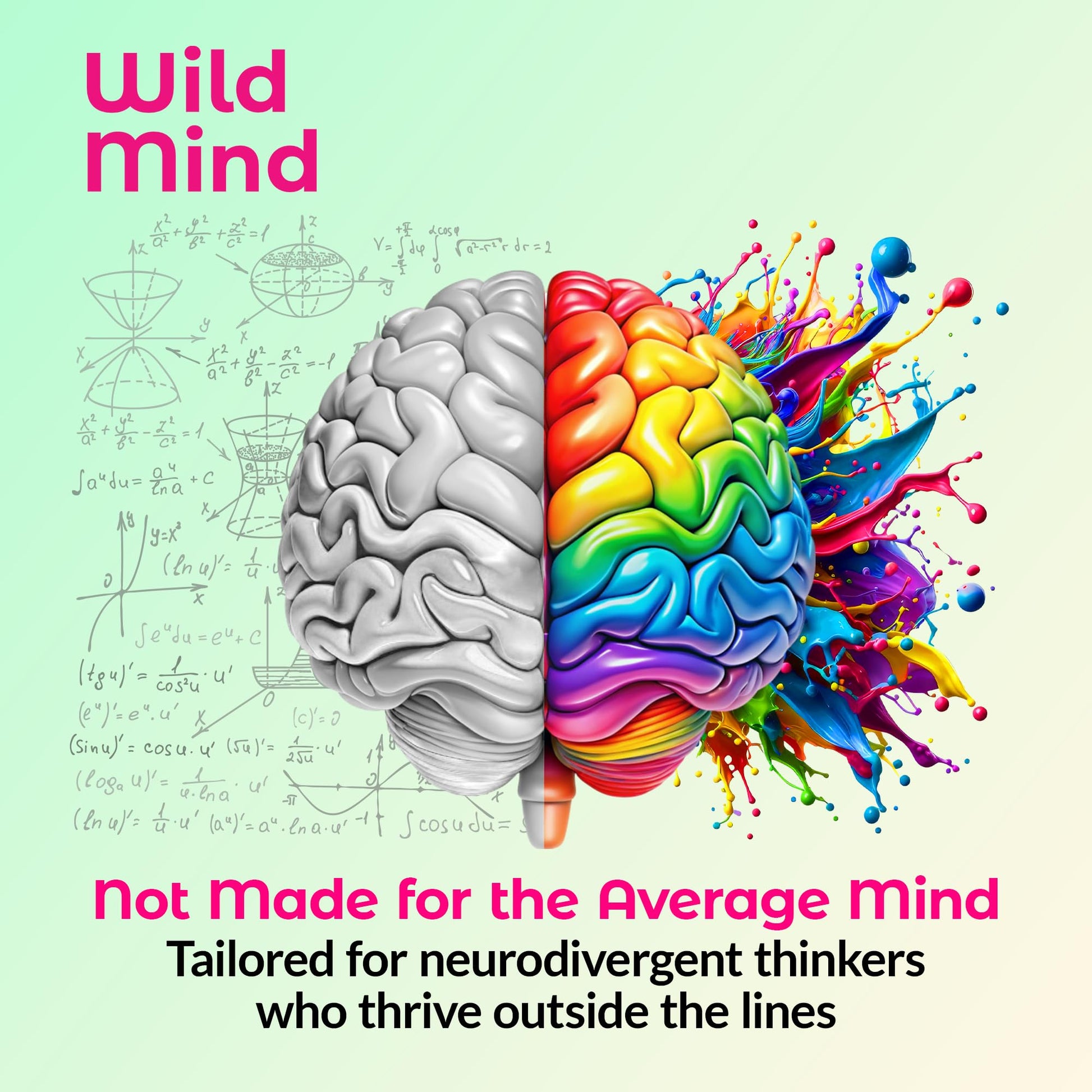 Wild Mind Mental Clarity Balanced Focus & Mood Support Supplement for Mental Wellness– 4-Ingredient Nootropic Brain Support for Calm & Energy – Vegan, 90 Capsules, 30-Day Supply Wild MindBuy Supplements Australia