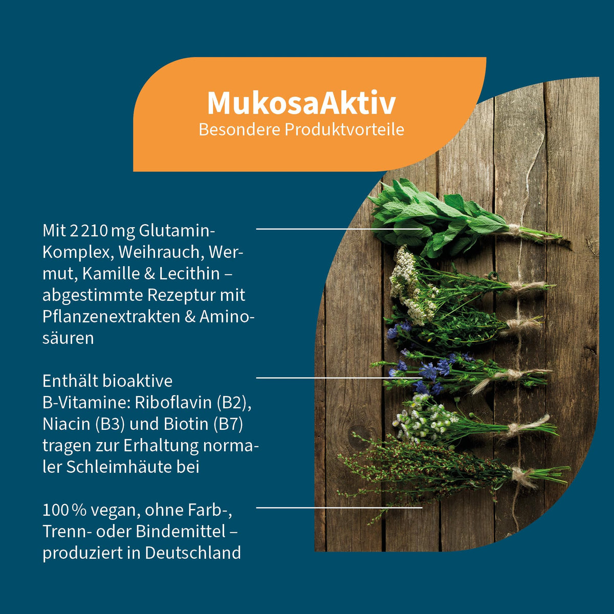 NatuGena Mukosa Active L-Glutamine (2000 mg), Lecithin (1,500 mg), L-Alanyl-L-Glutamine (200 mg), Propionic Acid (250 mg), High Bioavailability, 210 Capsules (30 Day Pack) | 2000 mg L-Glutamin mit 250 mg Propionsäure, 200 mg L-Alanyl-L-Glutamin
