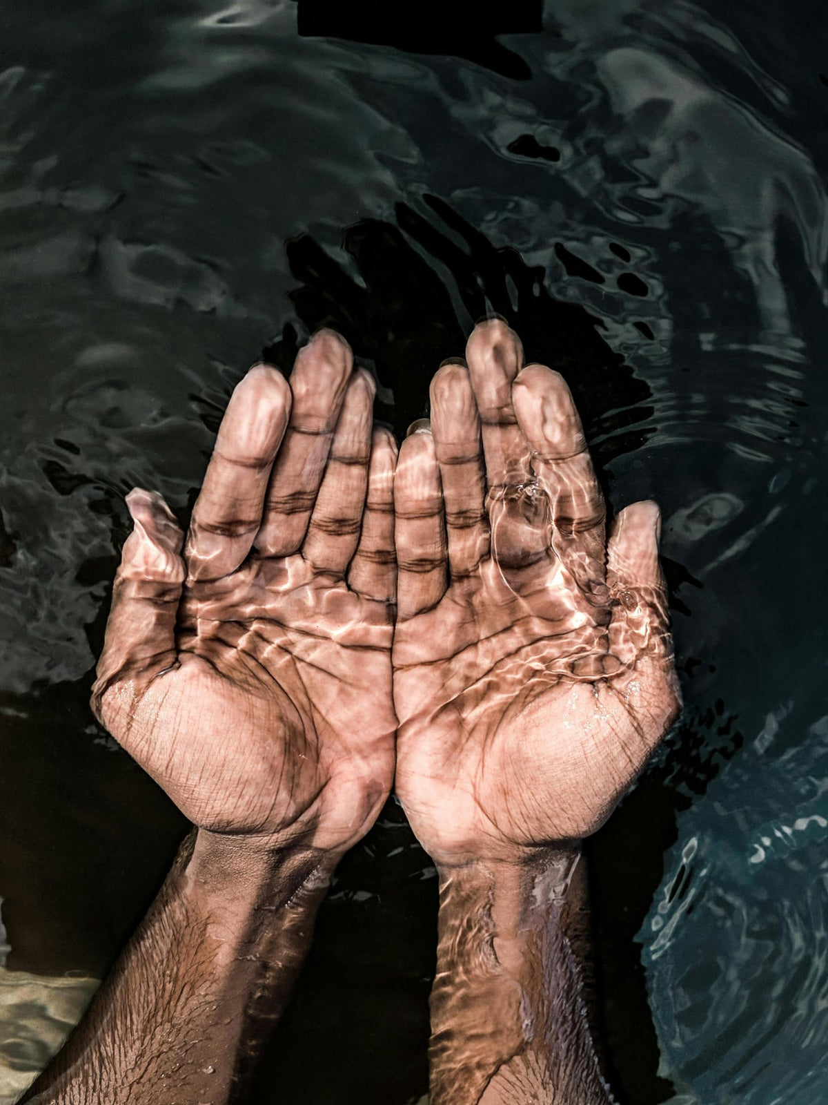 N-Acetyl L-Tyrosine 650 mg NALT - 250 Vegan Tablets - Essential Amino Acid with L-Leucine - Improved Bioavailability - No Genetic Engineering - Search Term Often Mental Performance