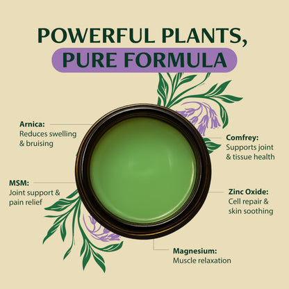 Wild Healing Comfrey Salve – Concentrated Herbal Balm with Arnica, Magnesium & MSM – Soothing Botanical Cream for Joints, Muscles & Dry Skin – 4.23 oz Wild HealingBuy Supplements Australia